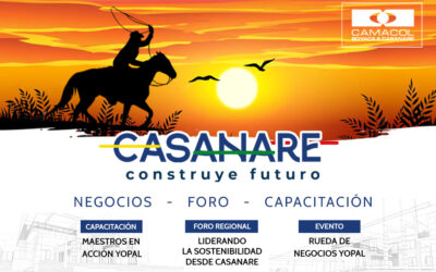 Impulsamos el desarrollo del sector constructor en Casanare